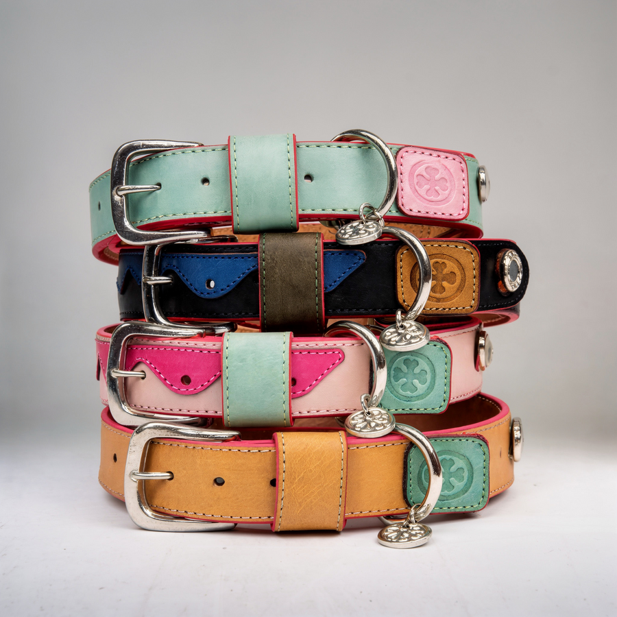 Collares