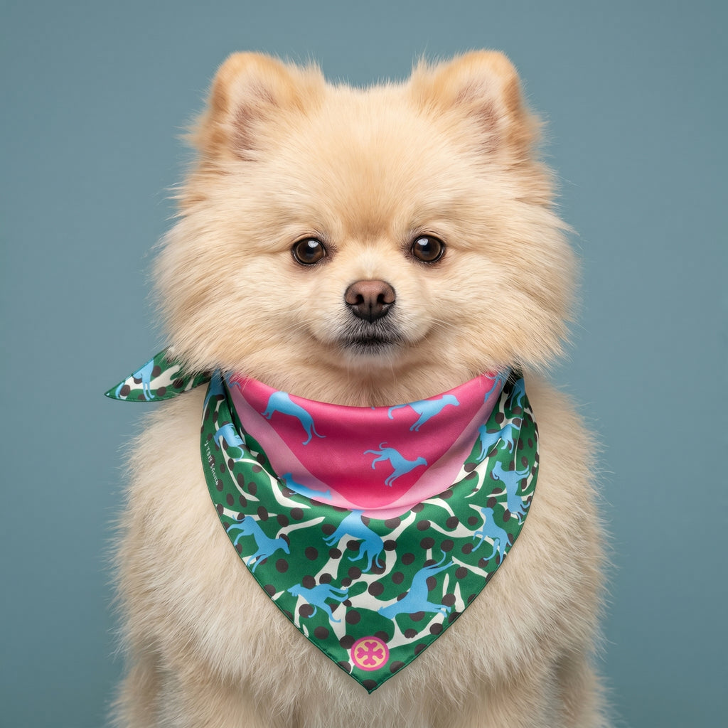 Pañuelos para mascotas