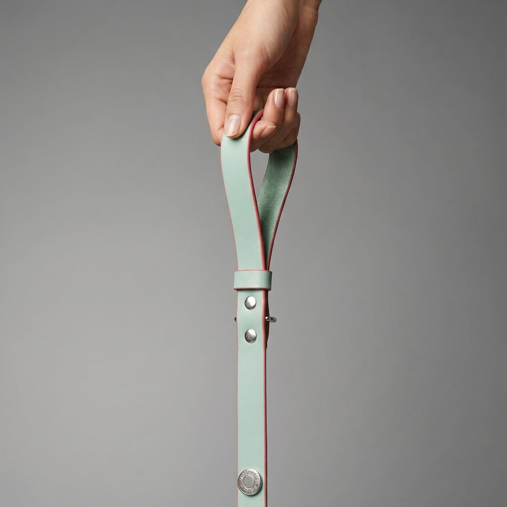 Wide Leash